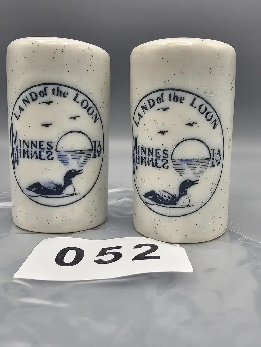 Vintage Land of the Loon Minnesota Ceramic Salt and Pepper Shakers